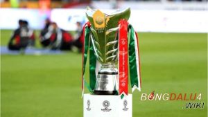 AFC Asian Cup giải đấu với nhiều ngôi sao Châu Á - bongdalu